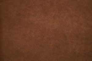 Nisa - Saddle