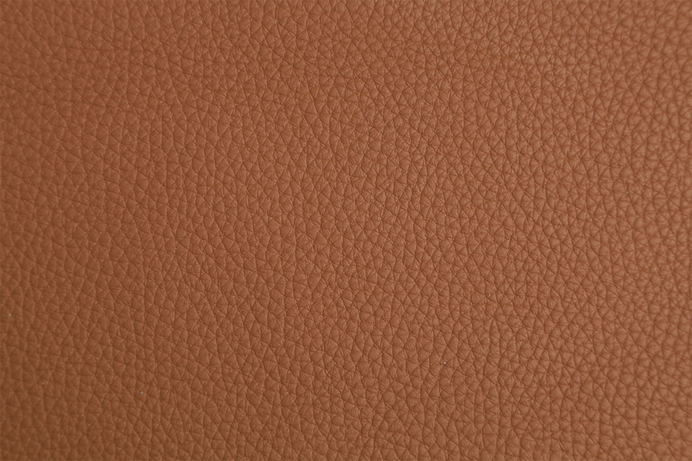 Abruzzi - Camel