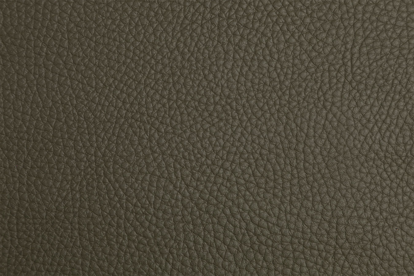 Abruzzi - Olive