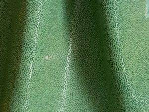 Shagreen - Apple