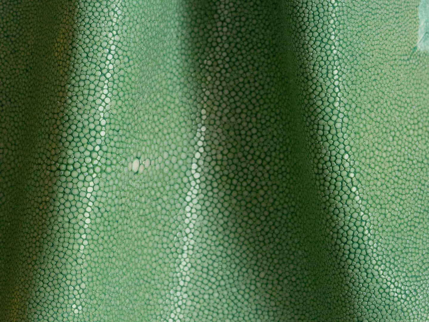 Shagreen - Apple