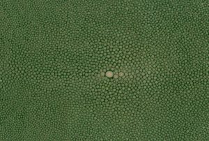 Shagreen - Apple