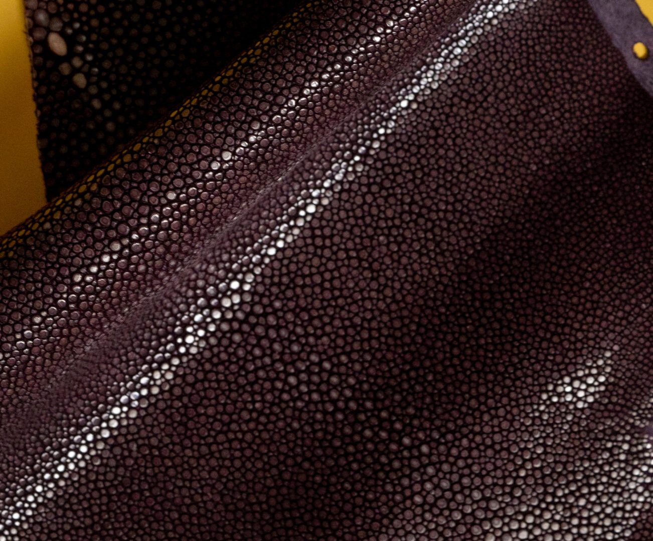 Shagreen - Aubergine