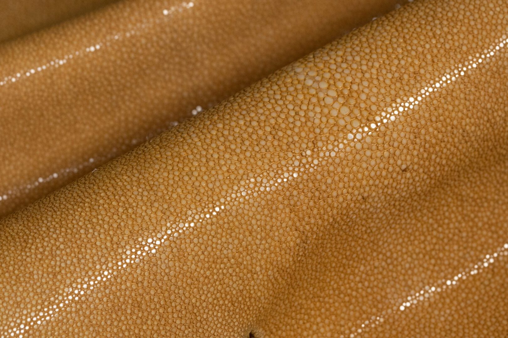 Shagreen - Beige