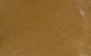 Shagreen - Beige