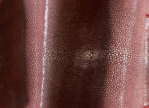 Shagreen - Berry