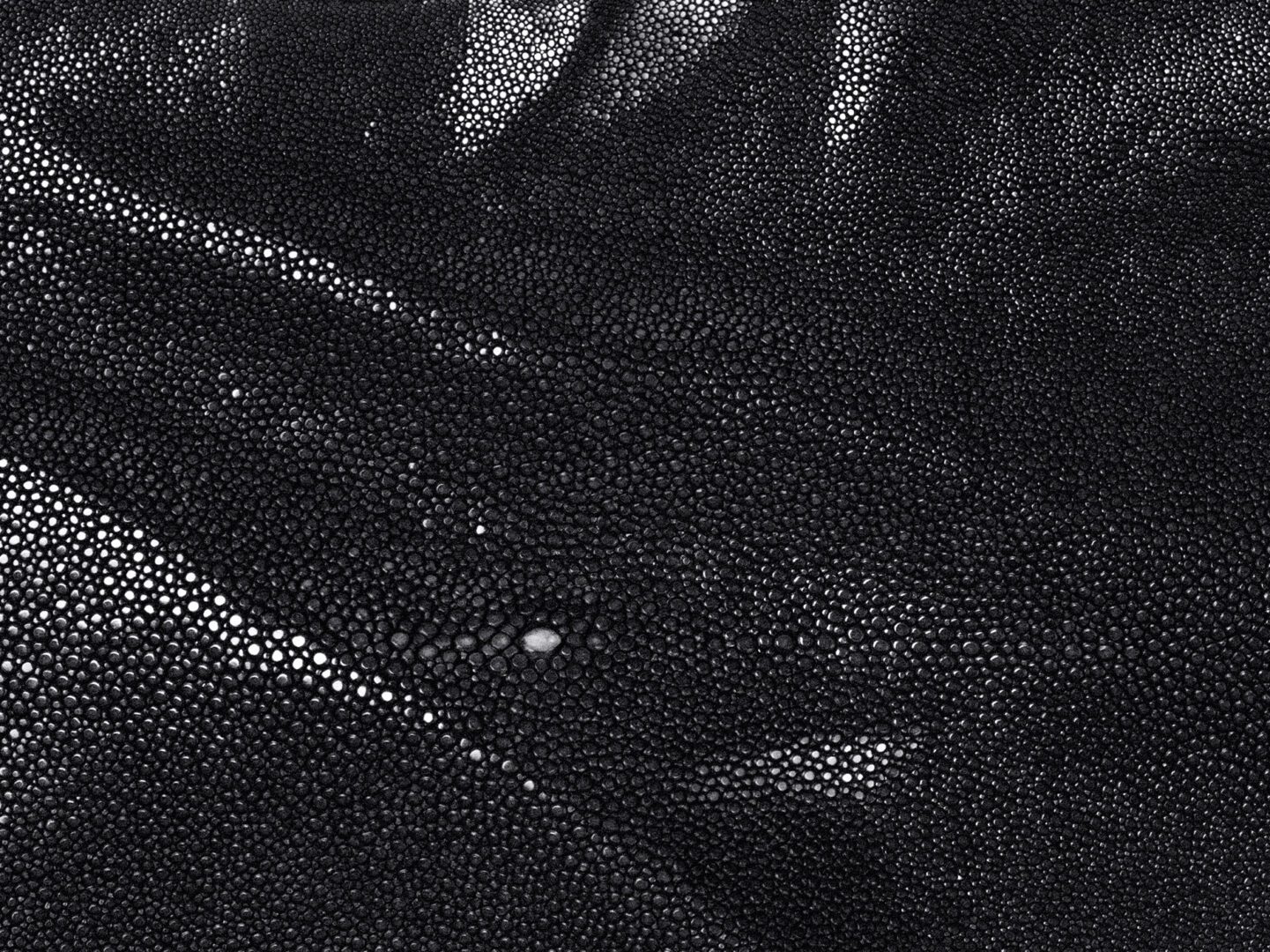 Shagreen - Black