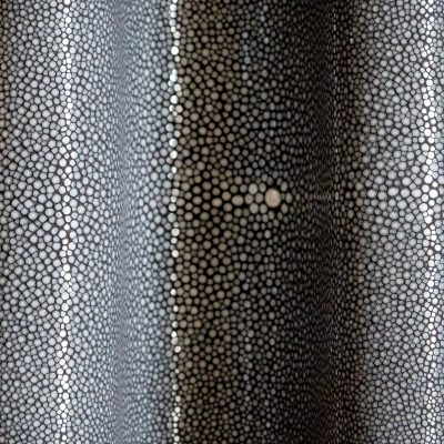 Shagreen - Charcoal