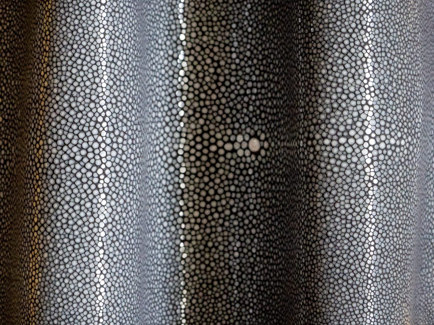 Shagreen - Charcoal