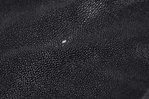 Shagreen - Black