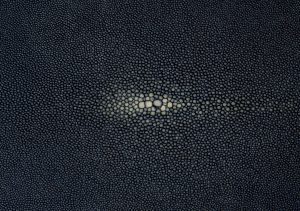 Shagreen - Denim