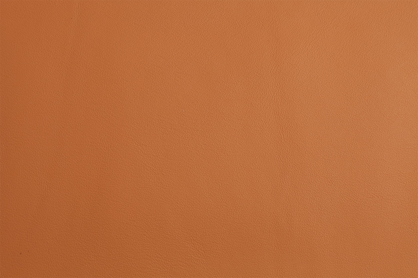 Firenze - Peach