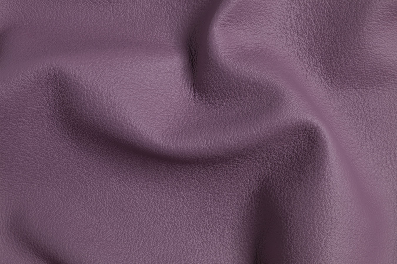 Firenze - Purple
