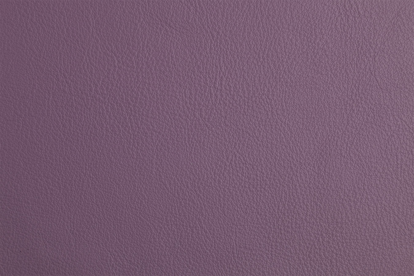 Firenze - Purple