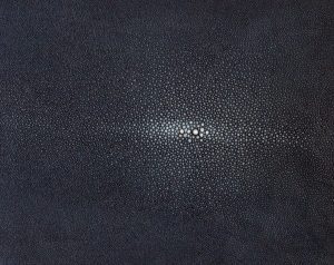 Shagreen - Indigo