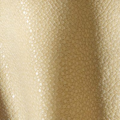 Shagreen - Ivory