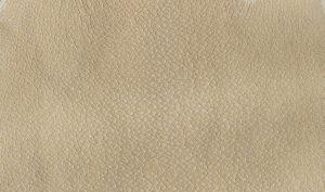 Shagreen - Ivory