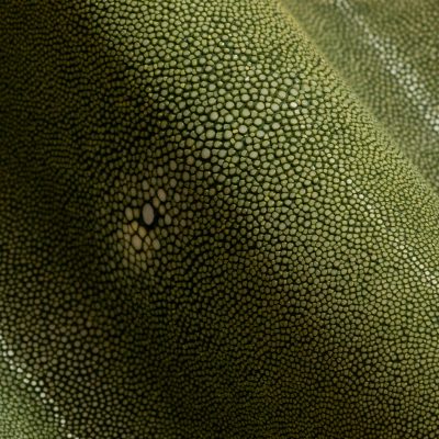 Shagreen - Moss