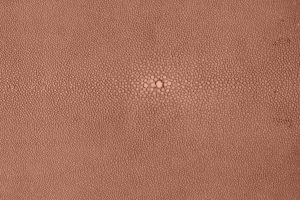 Shagreen - Orchid