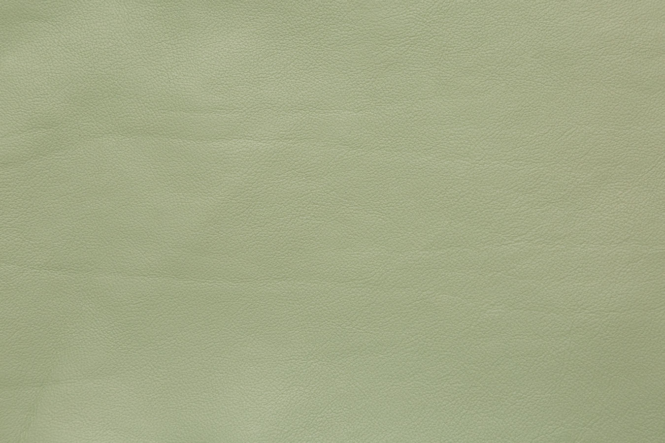 Plenair - Olive