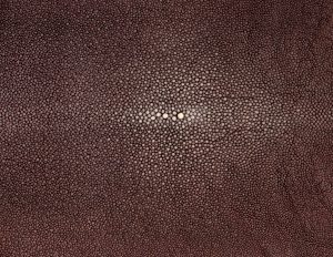 Shagreen - Plum