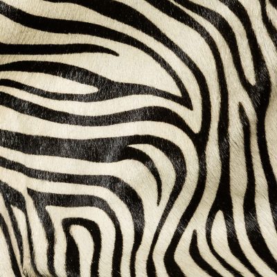 Pony Print - Zebra