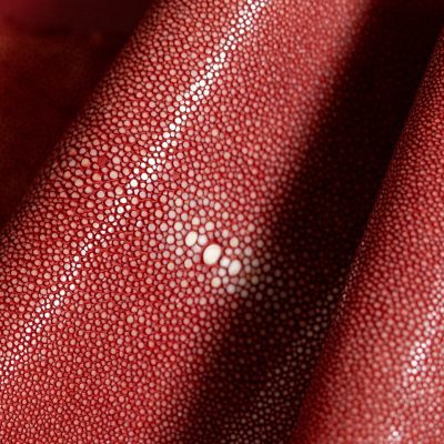 Shagreen - Red