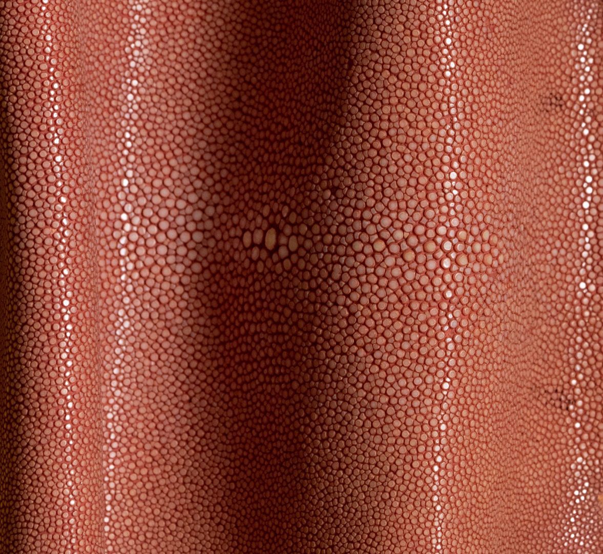 Shagreen - Rose