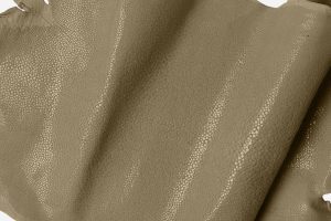 Shagreen - Sand