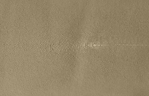 Shagreen - Sand