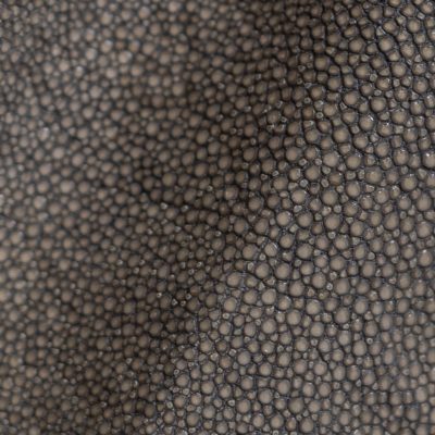 Shagreen - Stone