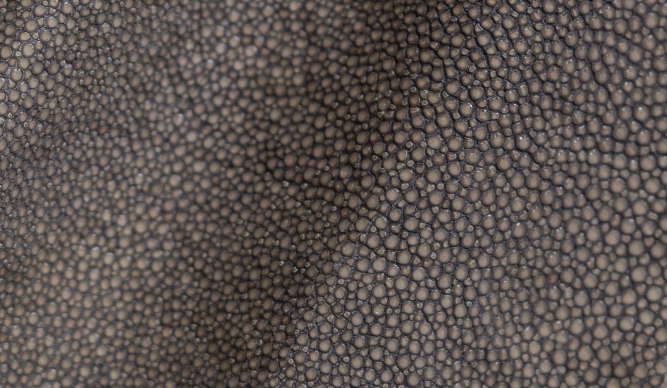 Shagreen - Stone