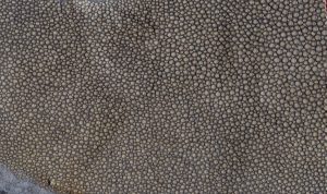 Shagreen - Stone