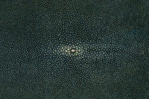 Shagreen - Teal